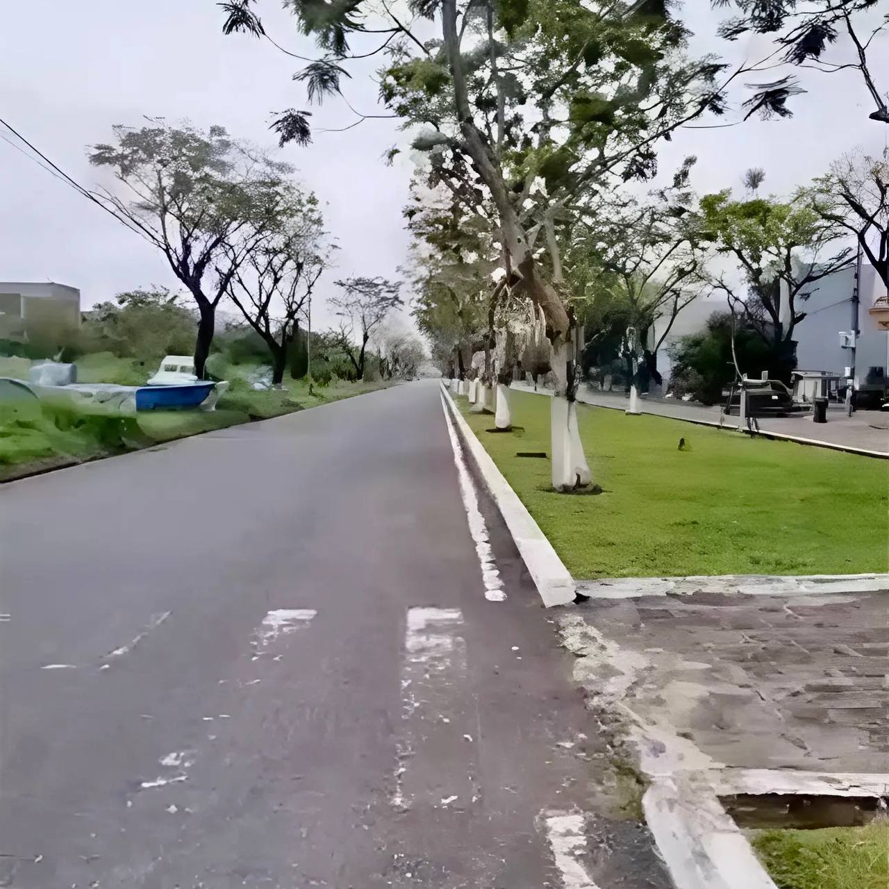 photo_2025-03-13_23-16-28 (2)