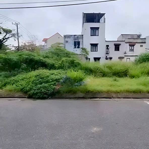 photo_2025-03-13_23-16-28