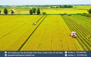 Khu đất nông nghiệp