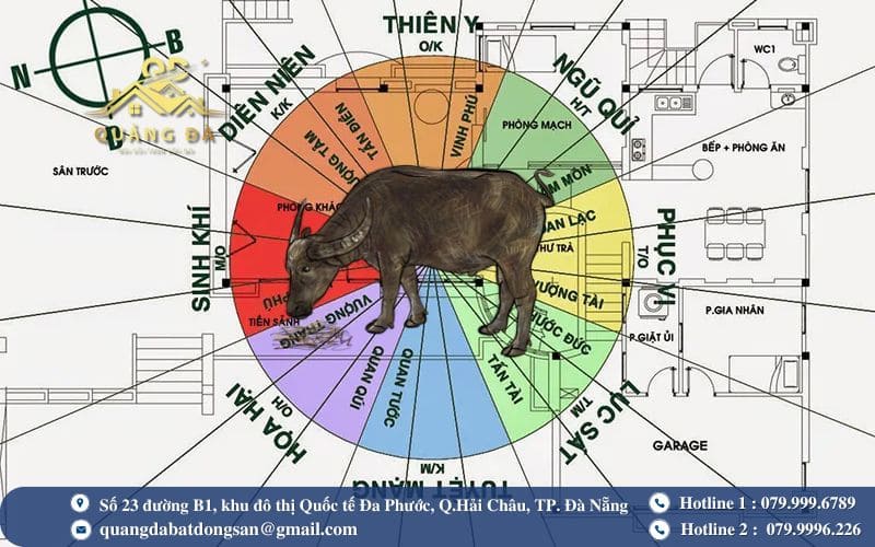 Đinh Sửu nên ưu tiên những hướng thuộc Đông tứ trạch để đón vượng khí và hạn chế vận rủi