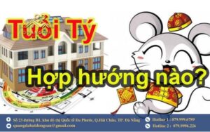 Nữ mệnh Bính Tý 1996 thuộc Đông tứ mệnh (cung Tốn)