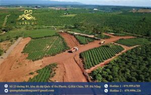 Đơn vị đo diện tích đất phổ biến