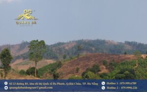 Đất csd là đất gì?