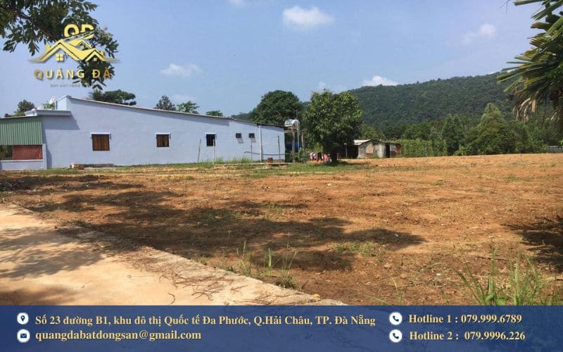 Có nên mua đất nở hậu không?