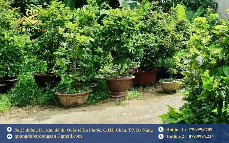 Phân loại đất Hòa Vang được giao dịch phổ biến