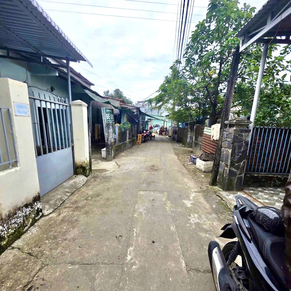 photo_2026-01-29_18-34-08 (2)