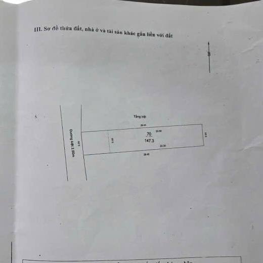 photo_2026-01-29_18-34-09