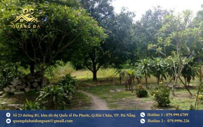 Phân biệt đất vườn 50 năm và đất ở lâu dài