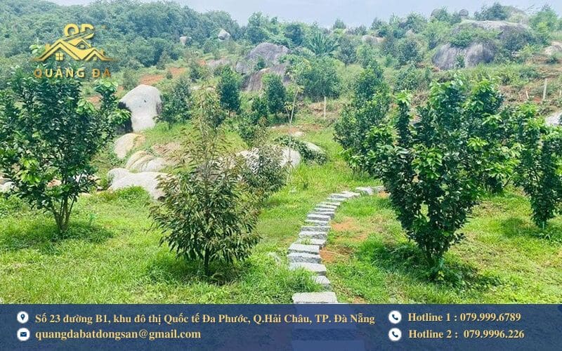 Lưu ý quan trọng khi mua đất vườn