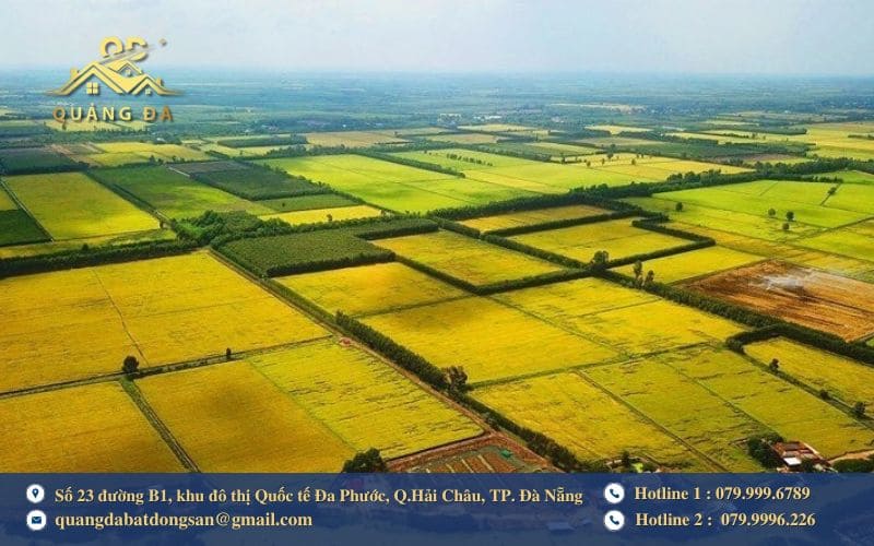 Trường hợp Nhà nước cho thuê đất