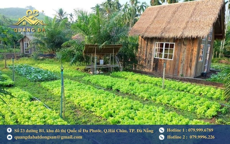 Đất vườn nằm chung thửa với đất ở