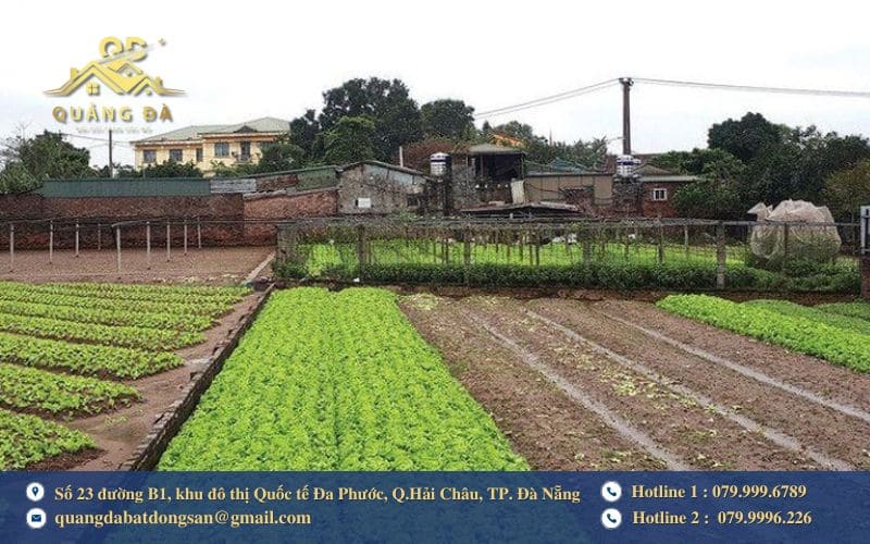 Hết thời hạn sử dụng đất vườn thì sao