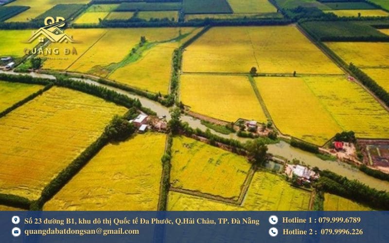 Những trường hợp thường được chuyển mục đích sử dụng đất