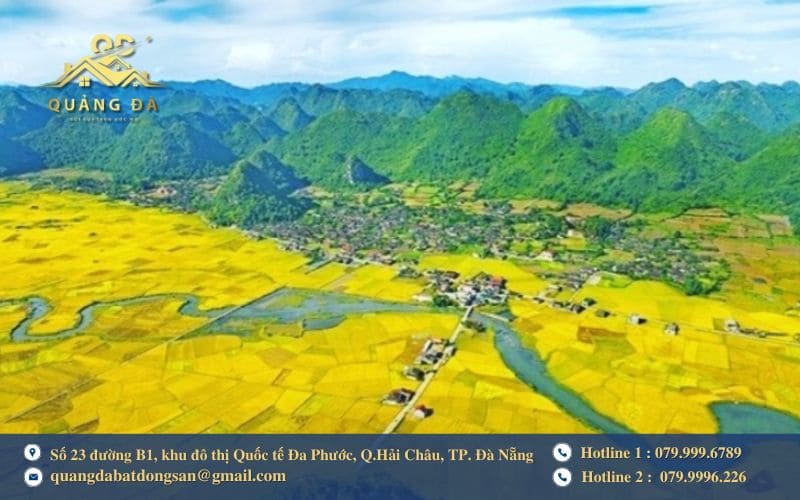 Những trường hợp khó hoặc không được chuyển