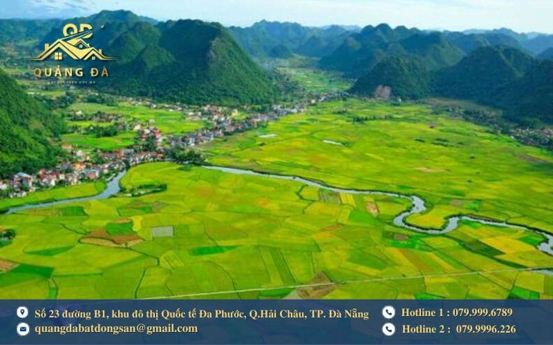 Tiến hành thẩm định hồ sơ và thực địa mảnh đất
