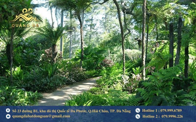 Môi trường sống trong lành và gần gũi thiên nhiên