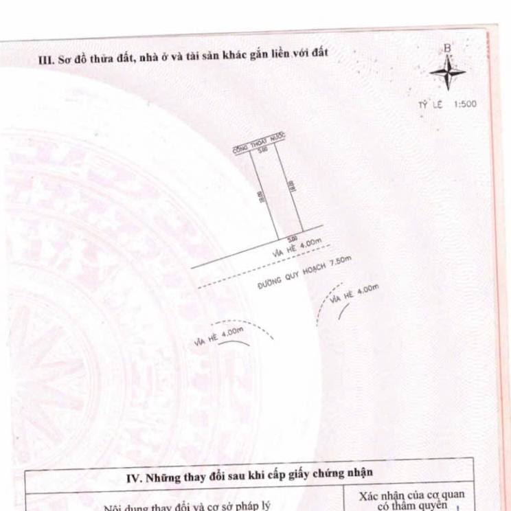 photo_2026-03-21_08-40-46 (3)