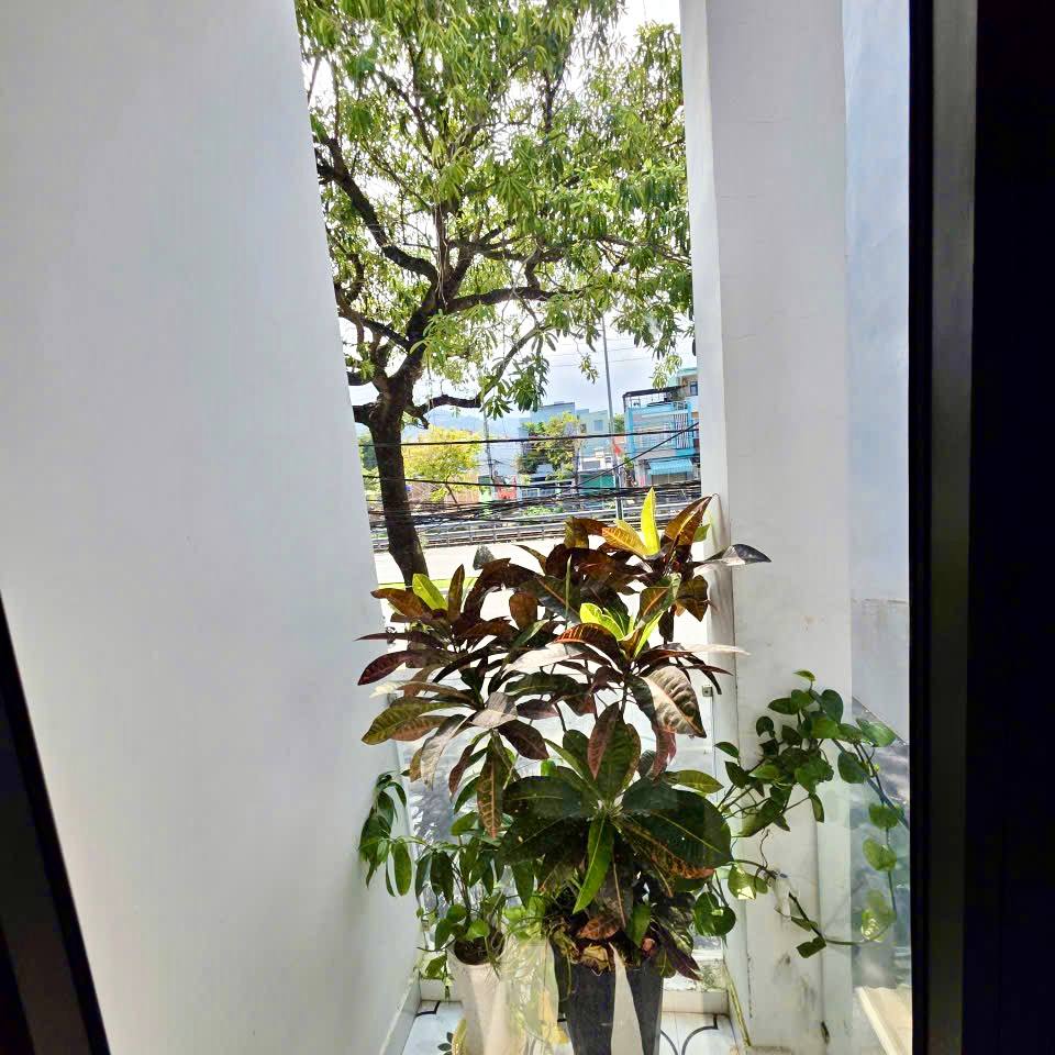 photo_2026-03-21_10-22-46