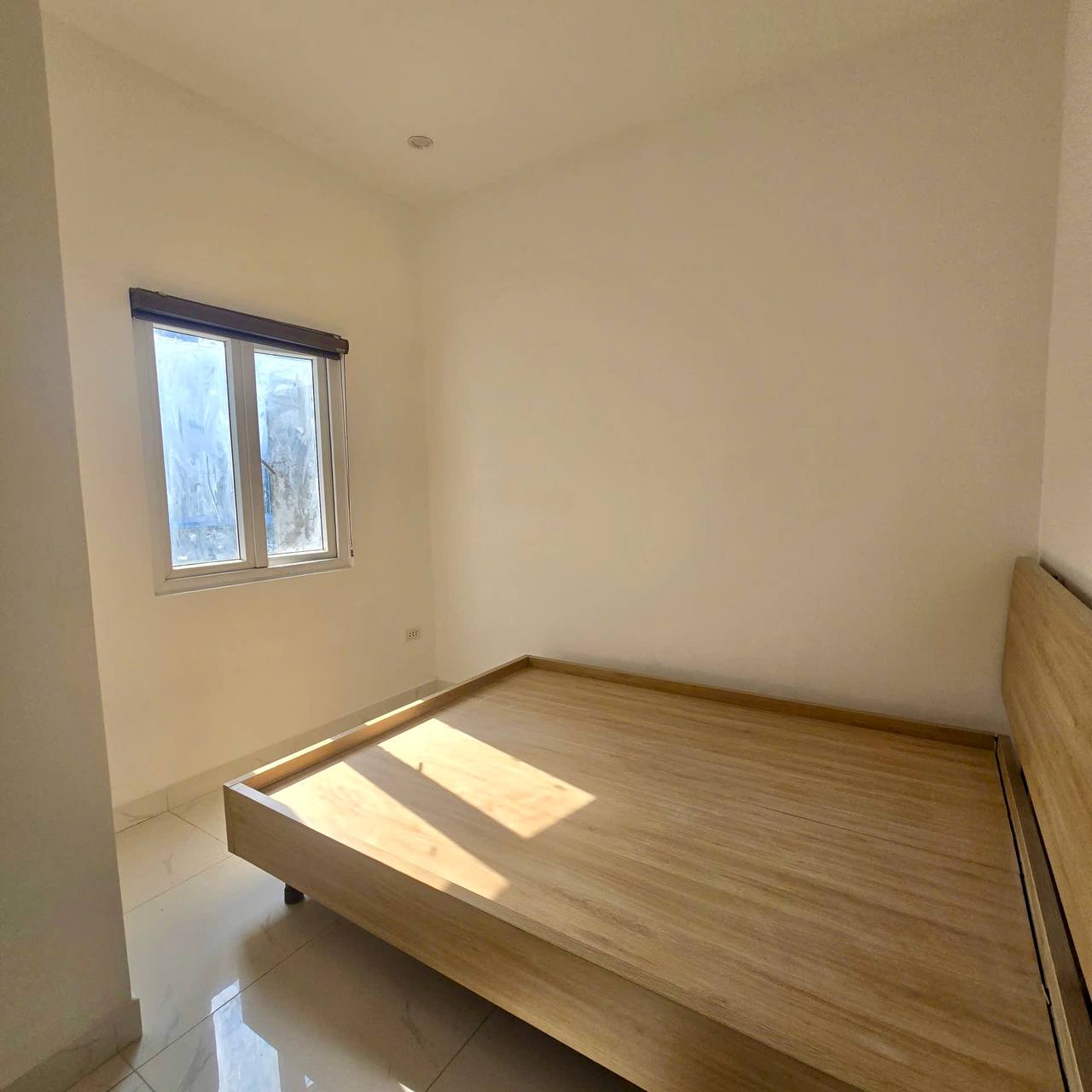 photo_2026-03-24_21-38-51