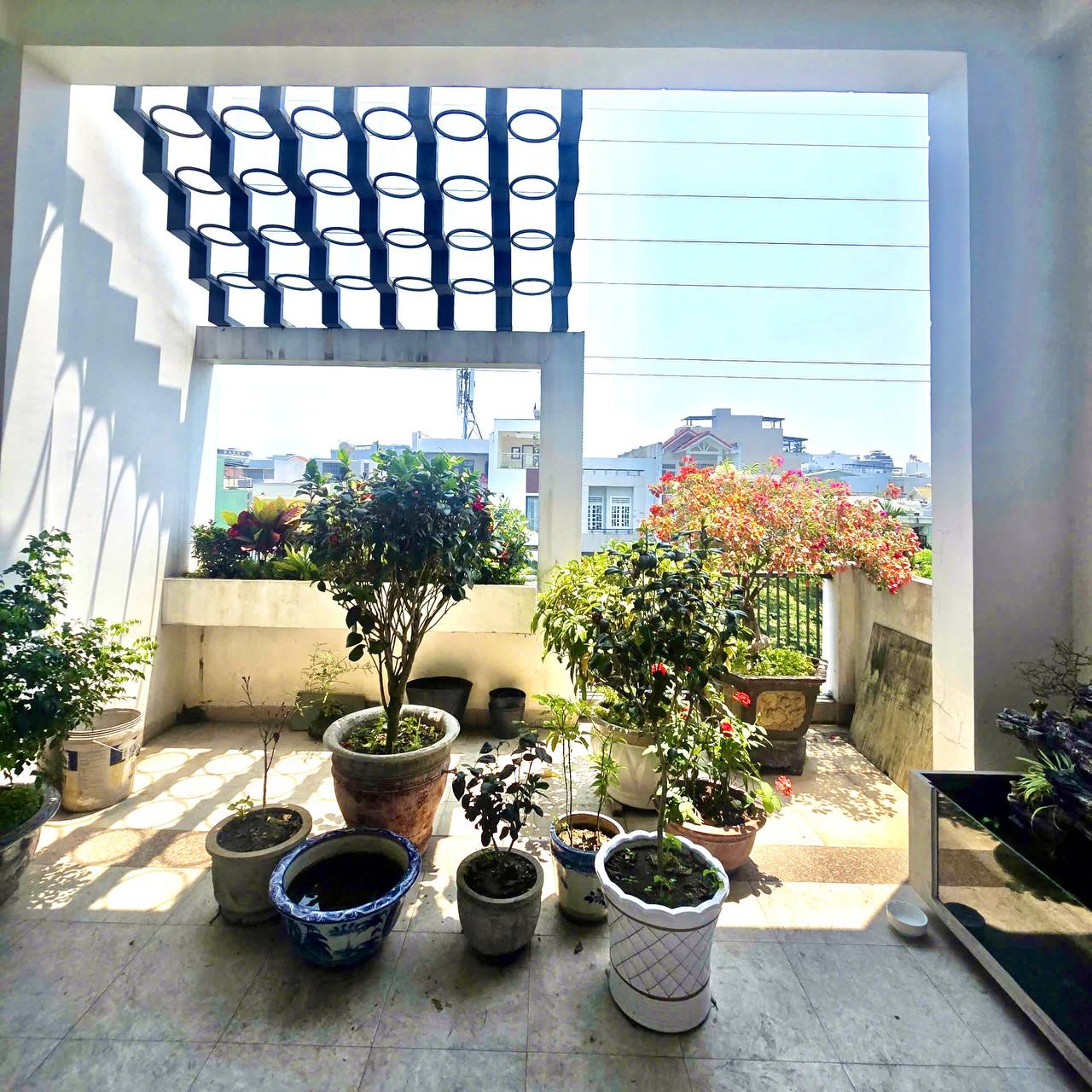 photo_2026-04-10_10-42-37