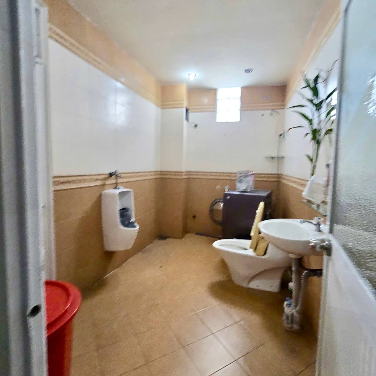 photo_2026-04-11_10-57-30