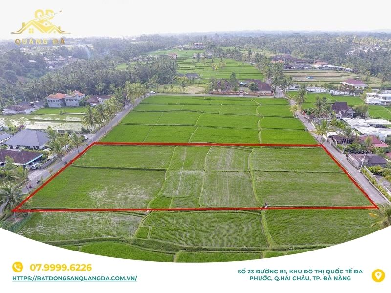 Hecta là đơn vị đo diện tích như thế nào?