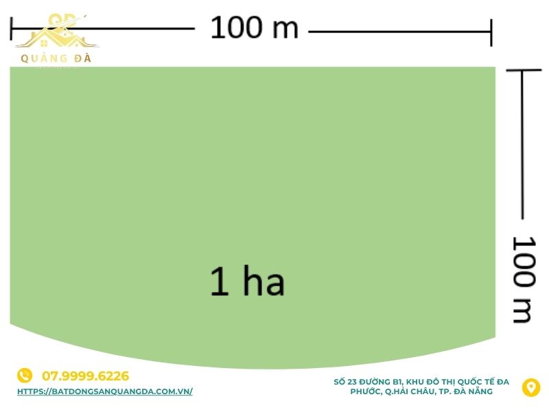 1 hecta đất có thể sử dụng để làm gì?