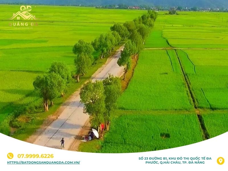 Phân biệt hecta với các đơn vị đo đất phổ biến tại Việt Nam