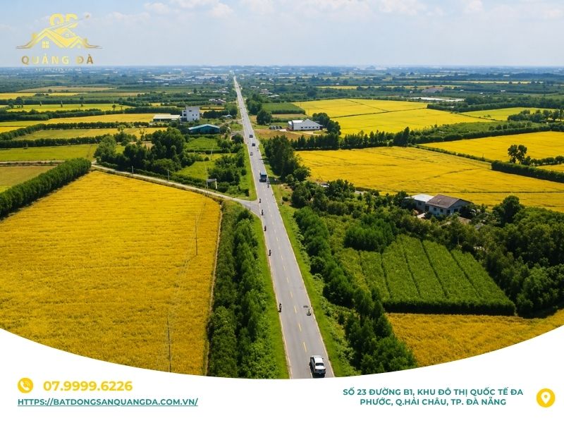 Các loại sốt đất thường gặp trên thị trường