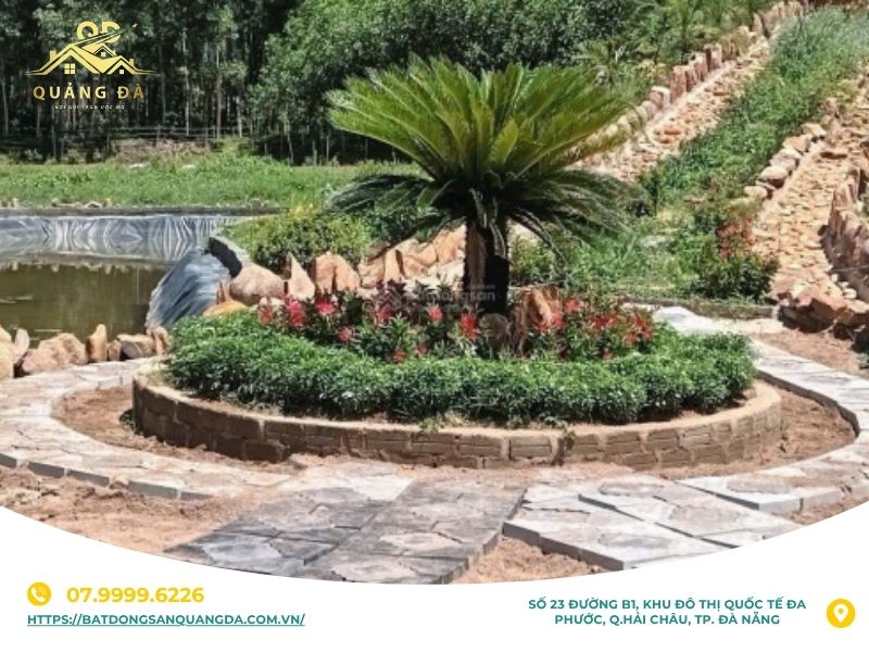 Kinh nghiệm mua bán đất thôn Đông Lâm